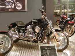 Harley Davidson (1024x768 116kb)