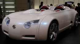TOYOTA CS&S (800x441 35kb)